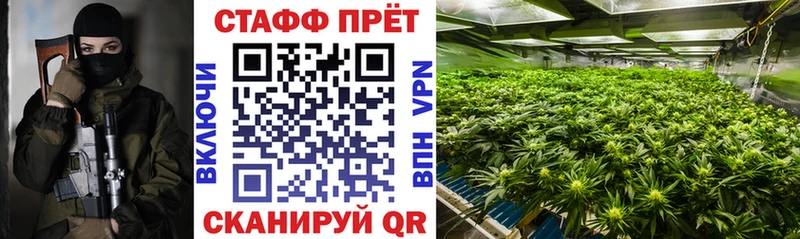 Наркошоп Печоры Кокаин  МДМА  A-PVP  МАРИХУАНА  Гашиш  Меф мяу мяу 