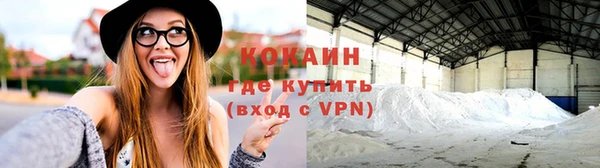 кокс Арсеньев