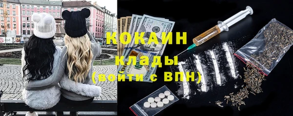 кокс Арсеньев