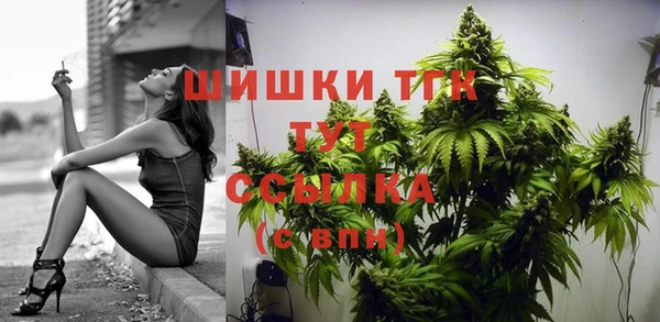 кокс Арсеньев