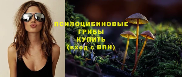 кокс Корсаков