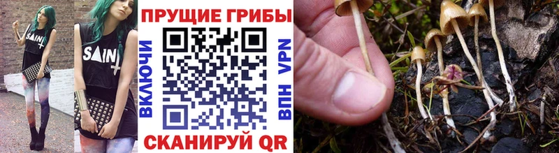 Псилоцибиновые грибы ЛСД  Печоры 